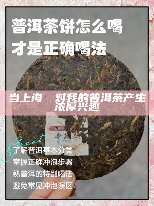 当 上海嬢嬢对我的普洱茶产生浓厚兴趣