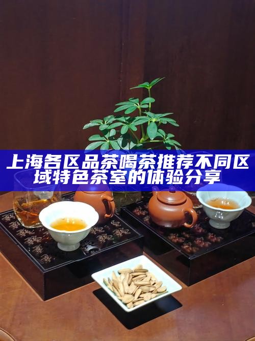 上海各区品茶喝茶推荐 不同区域特色茶室的体验分享