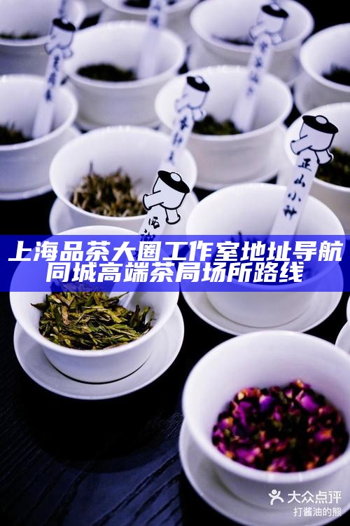 上海品茶大圈工作室地址导航 同城高端茶局场所路线