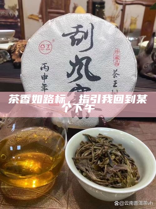 茶香如路标，指引我回到某个下午