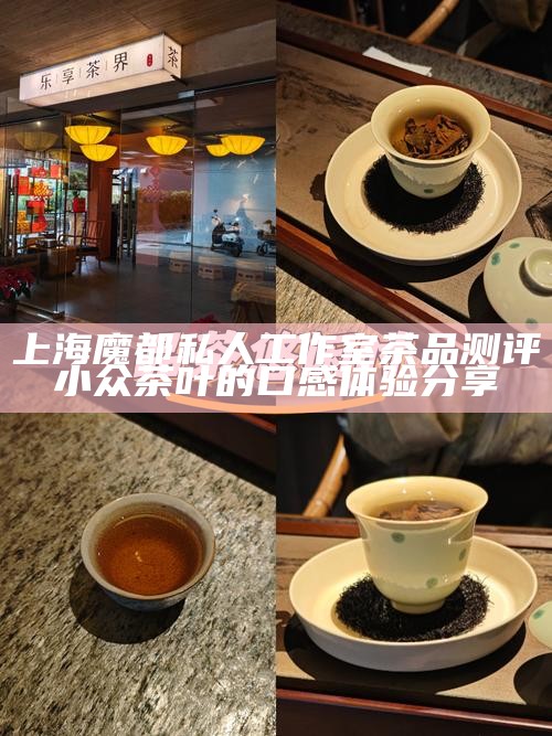 上海魔都私人工作室茶品测评 小众茶叶的口感体验分享